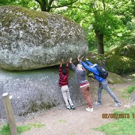 La Folie * Le Bourgneuf-la-Foret
